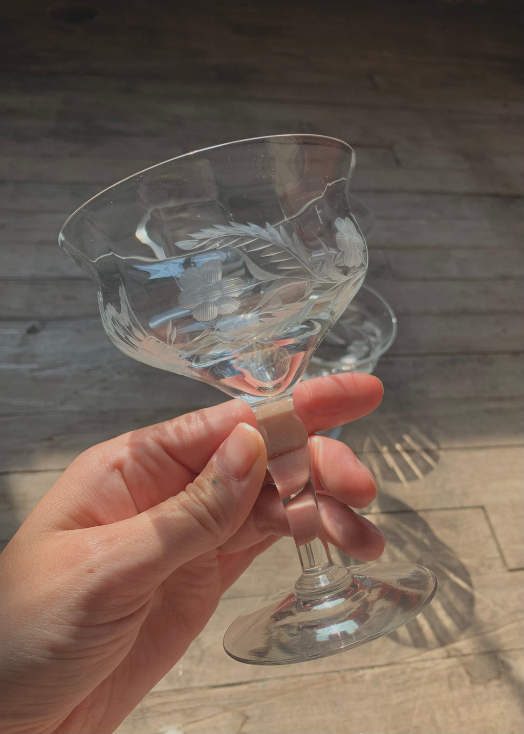 Etched Coupe Glasses