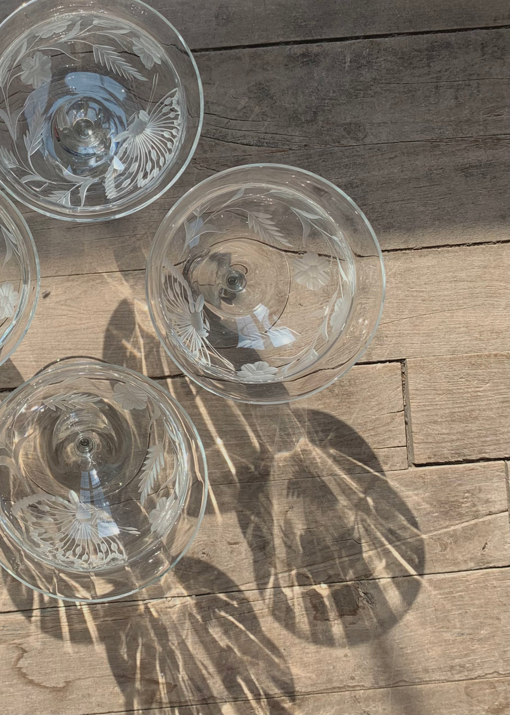 Etched Coupe Glasses